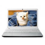 Packard Bell EasyNote TS44HR-32314G32Mnww