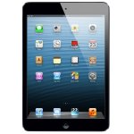 Apple iPad mini 16Gb WiFi Cellular Black